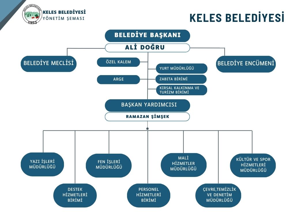 Organizasyon Şeması