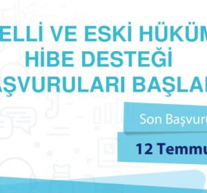 Engelli ve Eski Hükümlü Hibe Desteği