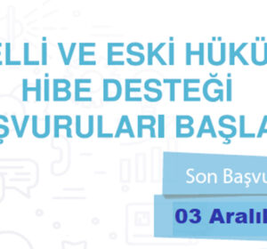Engelli ve Eski Hükümlü Hibe Desteği